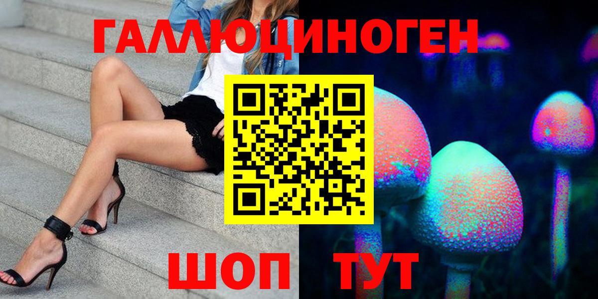 Димитровград  Галлюциногенные грибы Psilocybine cubensis  Вход с VPN 